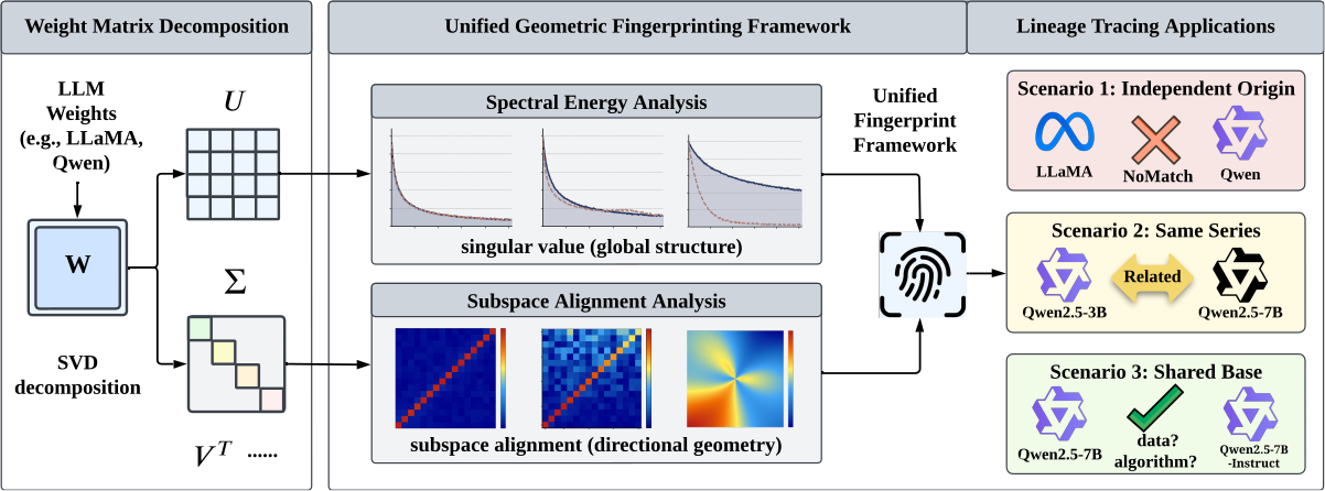 Who Built This Model? Tracing LLM Lineage via Spectral Fingerprints in Weight Space — teaser figure