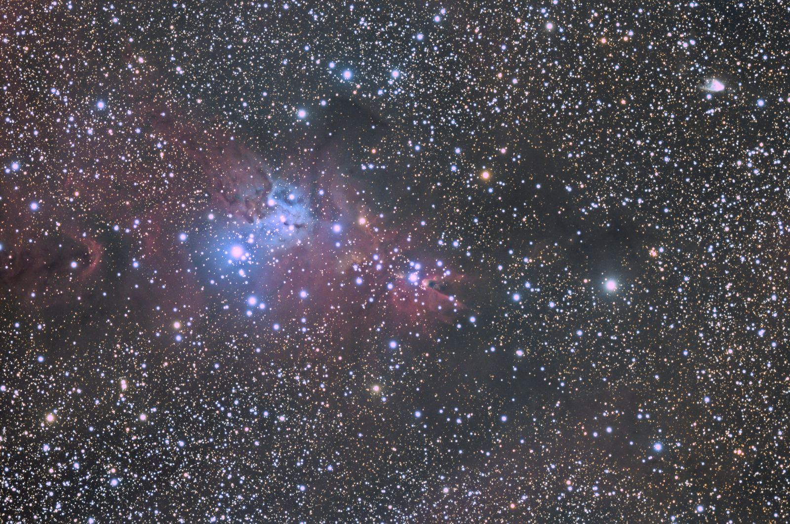 Christmas Tree Cluster (NGC 2264)