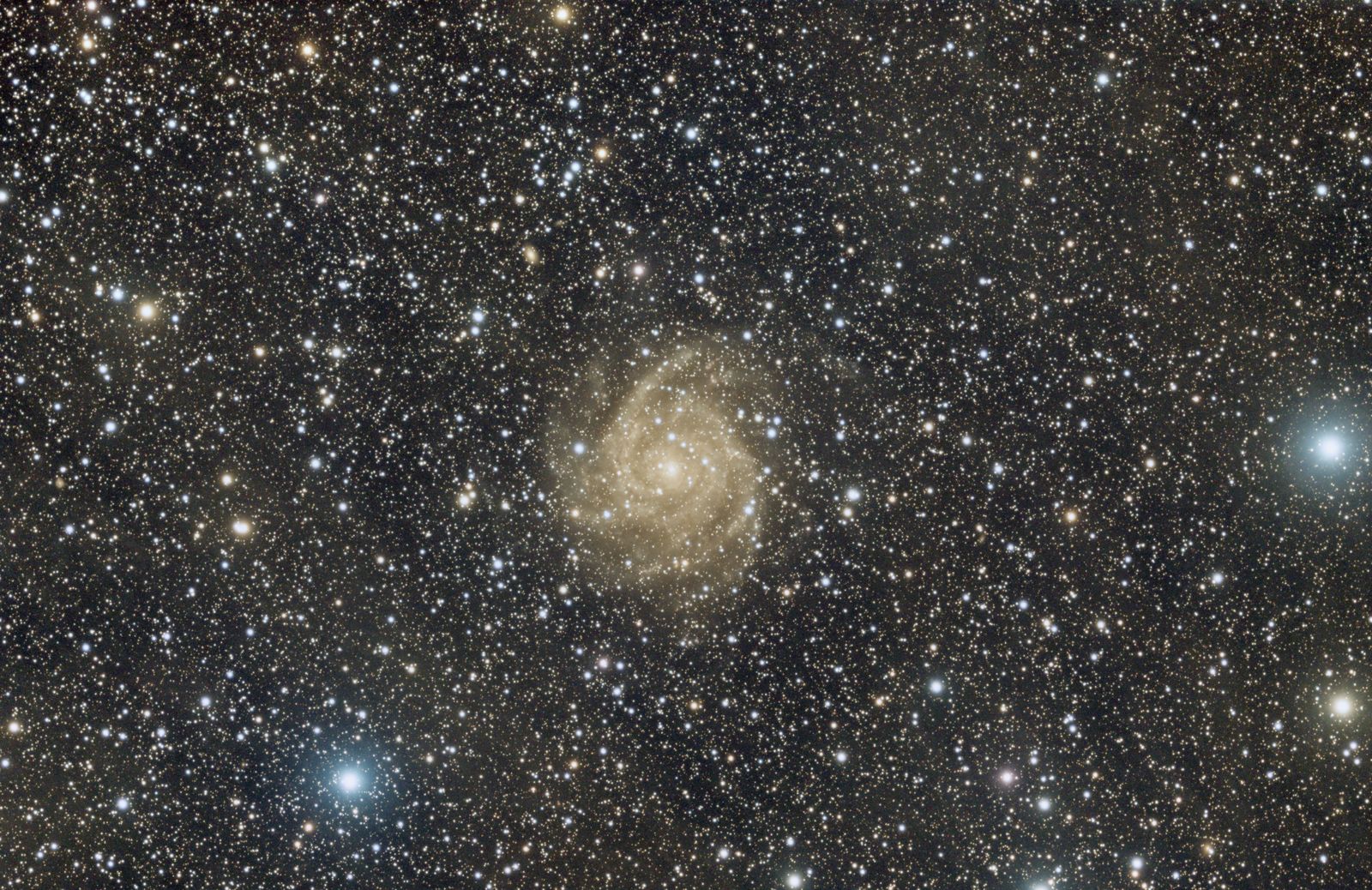 IC 342