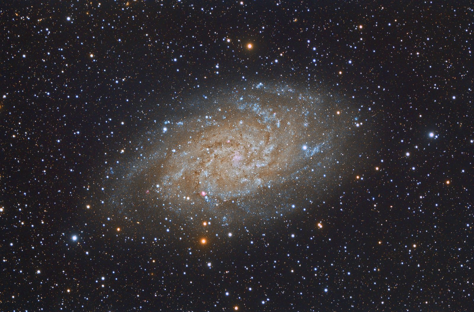 Triangulum Galaxy (M33)